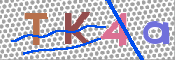 キャプチャ画像