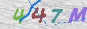 キャプチャ画像