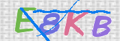 キャプチャ画像
