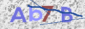 キャプチャ画像