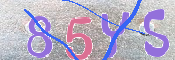 キャプチャ画像