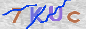 キャプチャ画像
