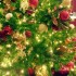クリスマスツリー2016